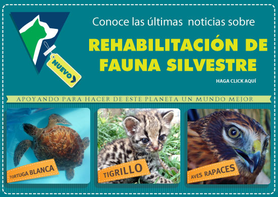 Enriqueta
